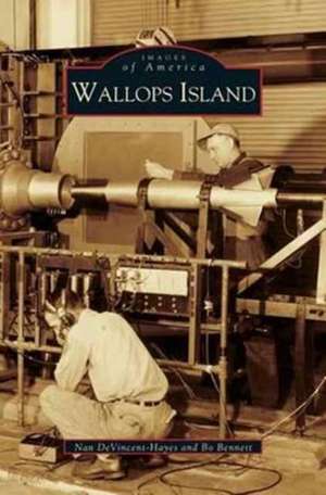 Wallops Island de Nan Devincent Hayes