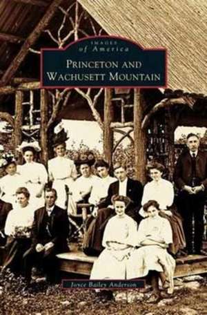 Princeton and Wachusett Mountain de Joyce Bailey Anderson