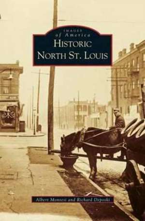 Historic North St. Louis de Albert Montesi