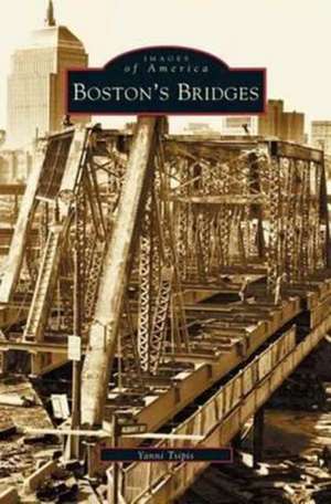 Boston's Bridges de Yanni Tsipis