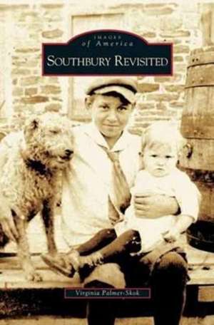 Southbury Revisited de Virginia Palmer-Skok