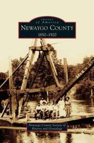 Newaygo County 1850-1920 de Newaygo County Society of History and Ge