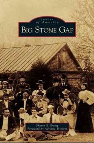 Big Stone Gap de Sharon B. Ewing