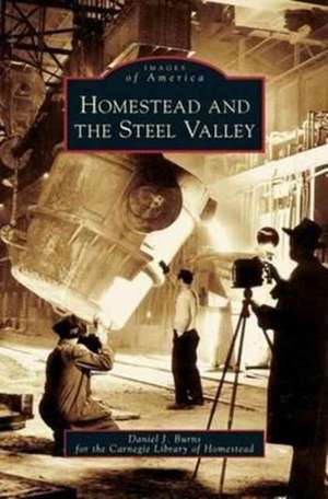 Homestead and the Steel Valley de Daniel J. Burns