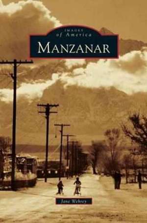 Manzanar de Jane Wehrey