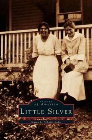 Little Silver de Karen L. Schnitzspahn