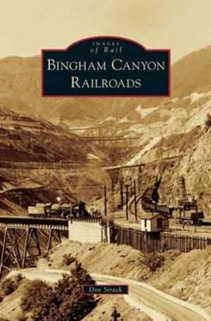 Bingham Canyon Railroads de Don Strack