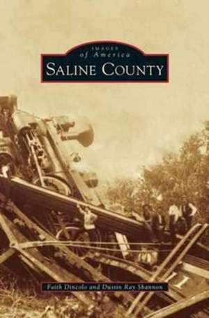 Saline County de Faith Dincolo