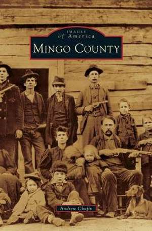 Mingo County de Andrew Chafin