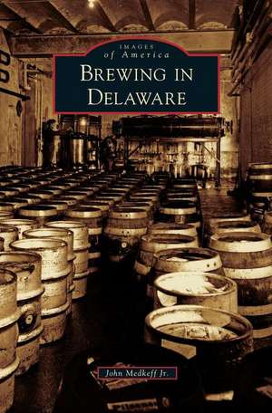 Brewing in Delaware de John Medkeff Jr