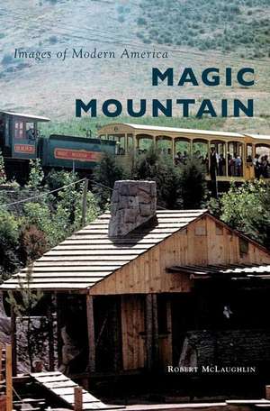 Magic Mountain de Robert Mclaughlin