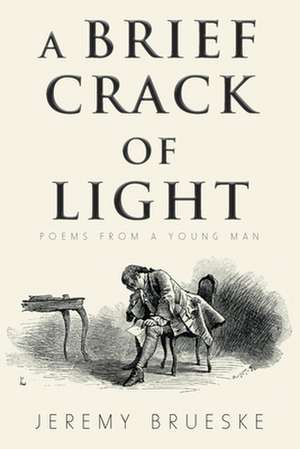 A Brief Crack of Light de Jeremy Brueske