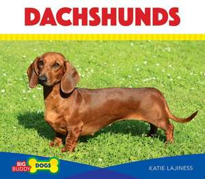 Dachshunds de Katie Lajiness