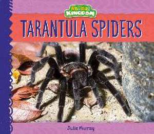 TARANTULA SPIDERS