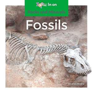 Fossils de Andrea Rivera