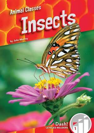 INSECTS