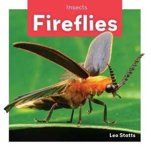 Fireflies de Leo Statts