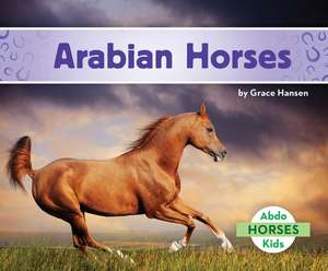 Arabian Horses de Grace Hansen