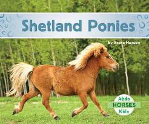 Shetland Ponies de Grace Hansen