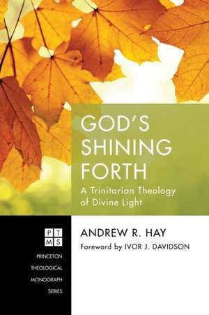 God's Shining Forth de Andrew R. Hay