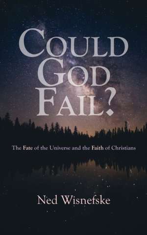 Could God Fail? de Ned Wisnefske