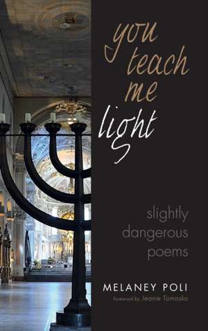 You Teach Me Light de Melaney Poli
