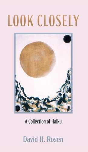 Look Closely de David H. Rosen