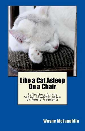 Like a Cat Asleep on a Chair de E. Wayne McLaughlin