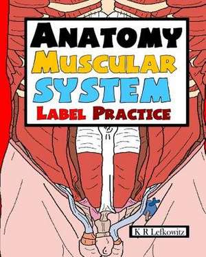 Anatomy Muscular System Label Practice de K. R. Lefkowitz