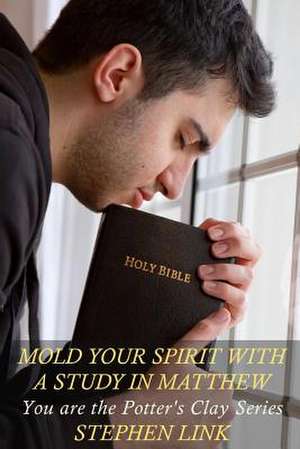 Mold Your Spirit with a Study in Matthew de Stephen Link