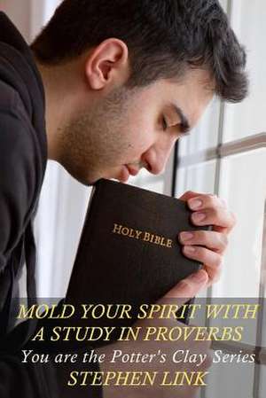 Mold Your Spirit with a Study in Proverbs de Stephen Link