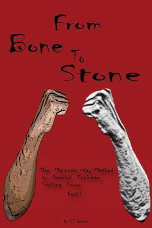 From Bone to Stone de C. T. Garrett