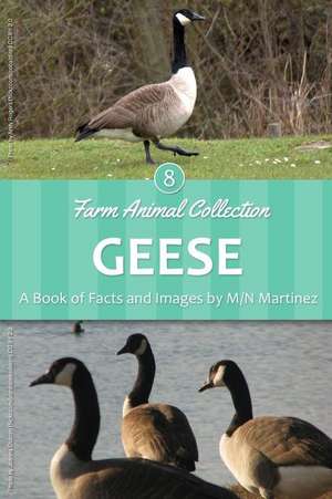 Geese de M/N Martinez