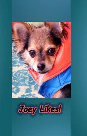 Joey Likes de Katherine M. Lord