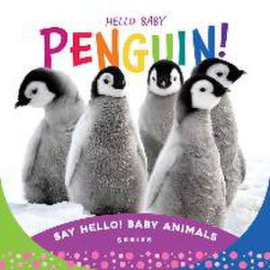 Hello Baby Penguin! de Beverly Rose