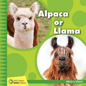 Alpaca or Llama de Tamra Orr