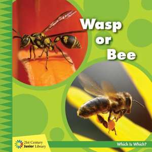 Wasp or Bee de Tamra Orr