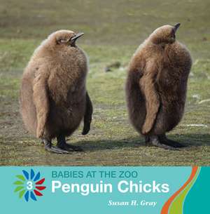 Penguin Chicks de Susan H. Gray