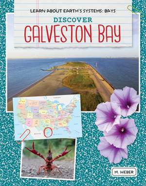 Discover Galveston Bay de M. Weber