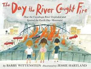 The Day the River Caught Fire de Barry Wittenstein