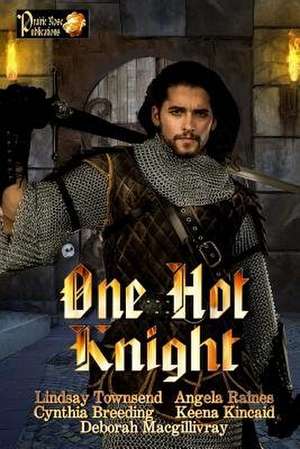 One Hot Knight de Lindsay Townsend