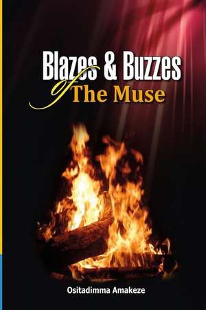 Blazes & Buzzzes of the Muse de Ositadimma Amakeze