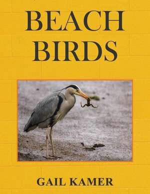 Beach Birds de Gail Kamer