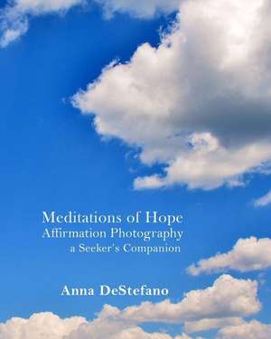 Meditations of Hope de Anna DeStefano