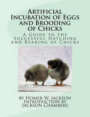 Artificial Incubation of Eggs and Brooding of Chicks de Homer W. Jackson