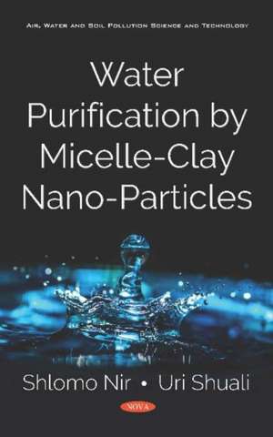 Water Purification by Micelle-Clay Nano-Particles de Shlomo NIR