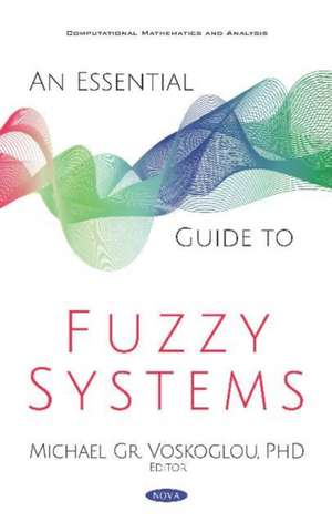 Essential Guide to Fuzzy Systems