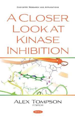 Closer Look at Kinase Inhibition