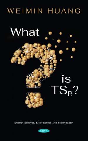 Huang, W: What is TSB?