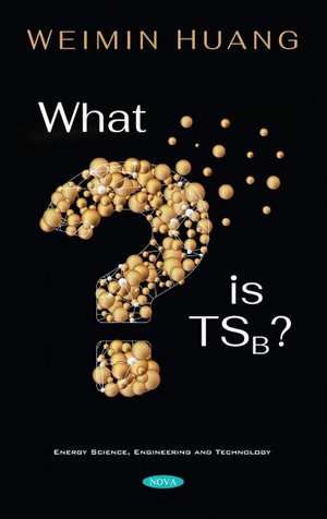 What is TSB? de Weimin Huang